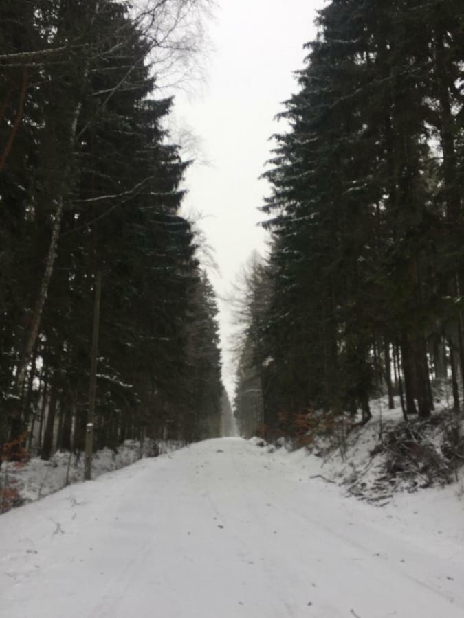Hermanov 141 Jindrichovice Экстерьер фото